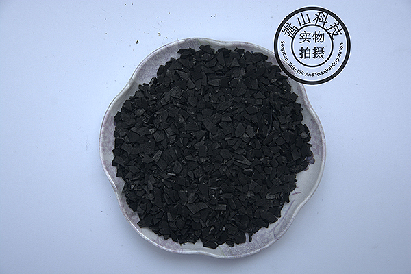 载银果壳活性炭